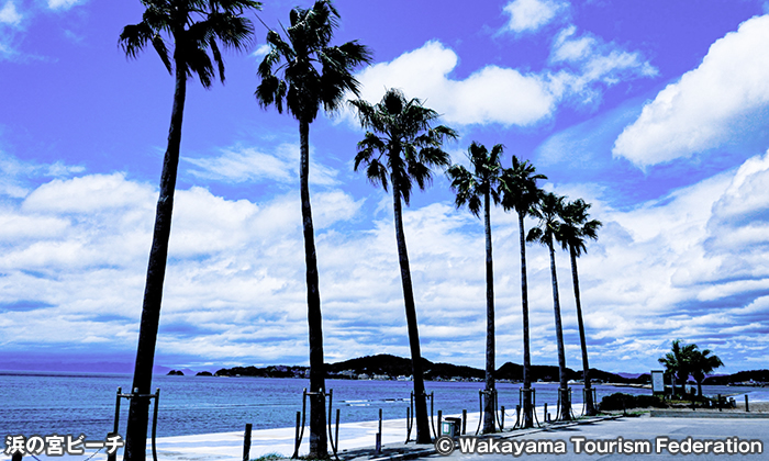 浜の宮ビーチ