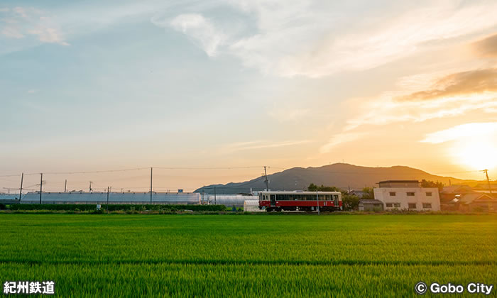 紀州鉄道