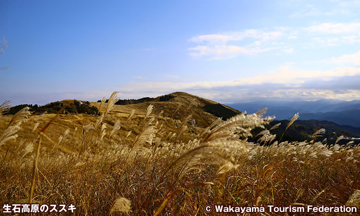 関西百名山 生石ヶ峰