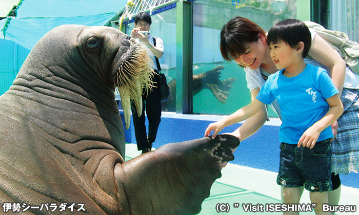 伊勢夫婦岩ふれあい水族館シーパラダイス