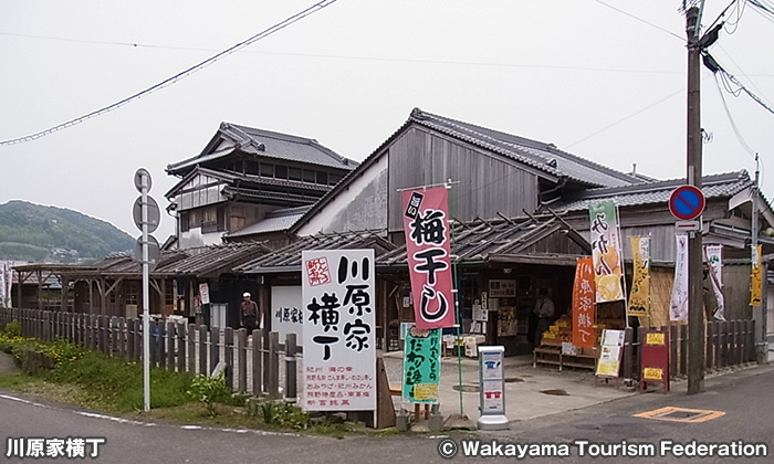 川原家横丁