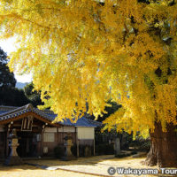 丹生酒殿神社