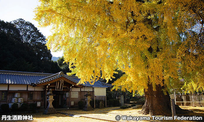 丹生酒殿神社