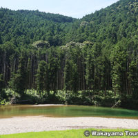 高田自然プール