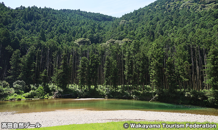 高田自然プール