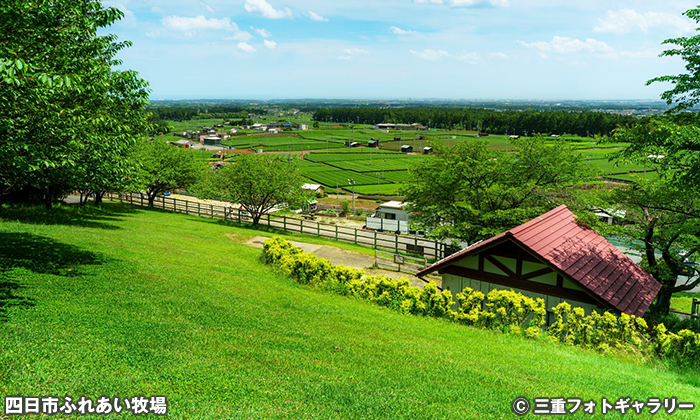 四日市ふれあい牧場