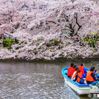 九華公園