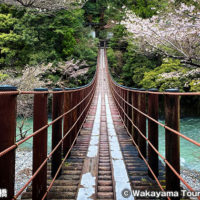 道の駅 龍神