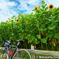 新庄総合公園