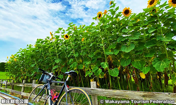 新庄総合公園