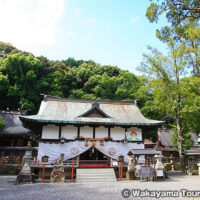 闘鶏神社