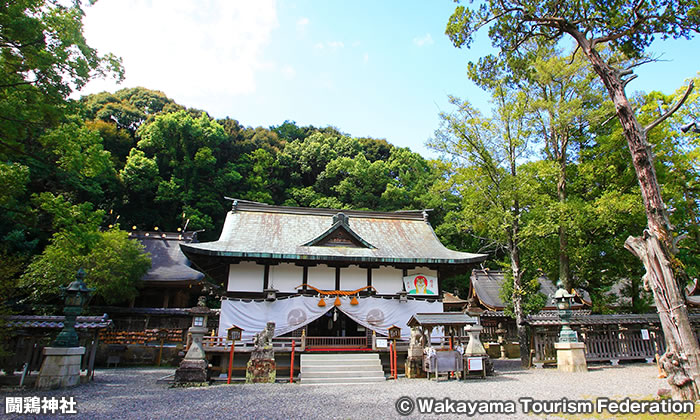 闘鶏神社