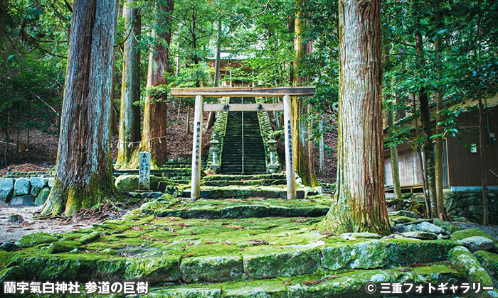 蘭宇氣白神社