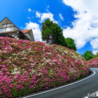 道の駅 茶倉駅