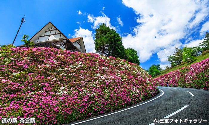 道の駅 茶倉駅