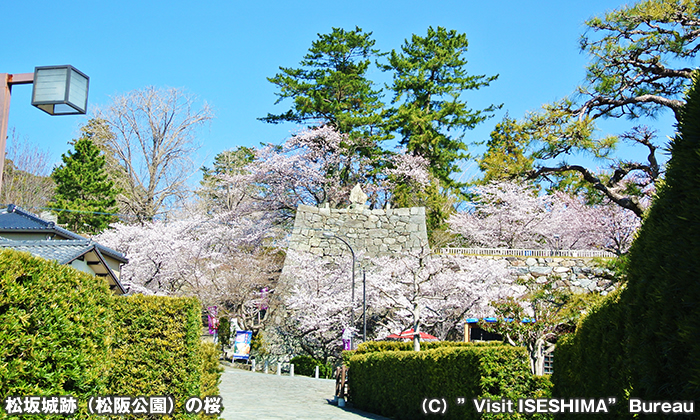 松坂城跡