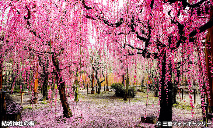 結城神社