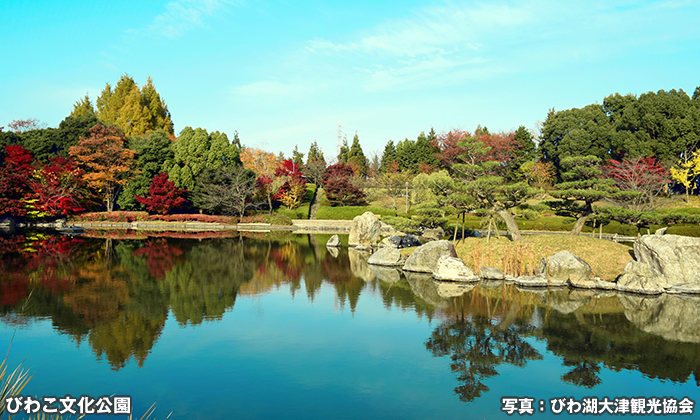 びわこ文化公園