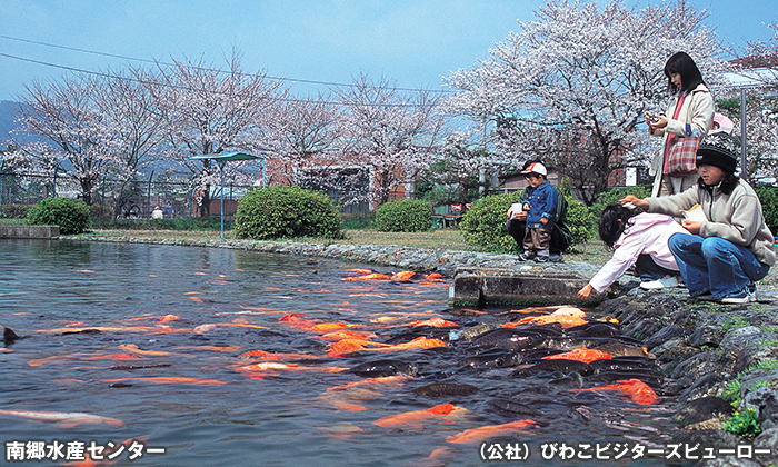 南郷水産センター