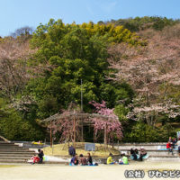 八幡公園