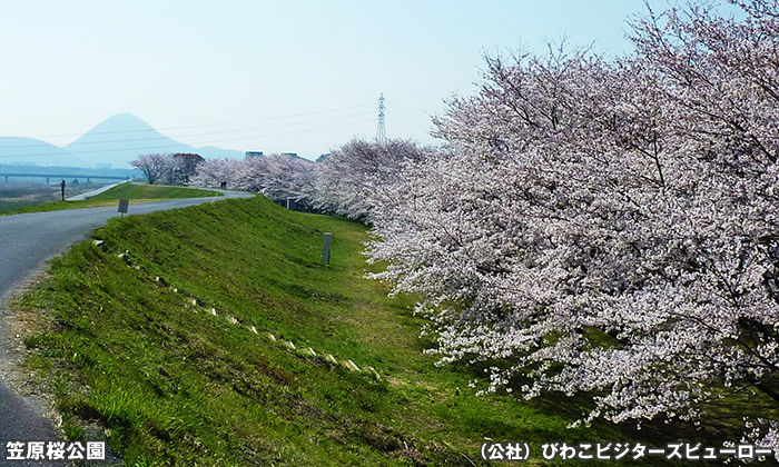 笠原桜公園