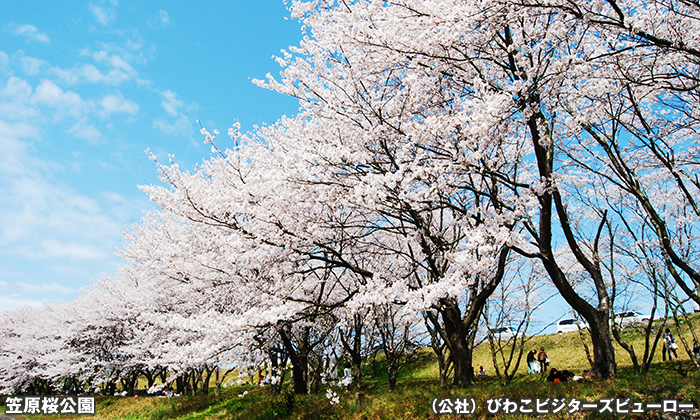 笠原桜公園