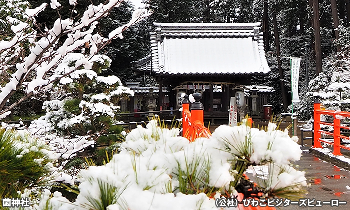 菌神社