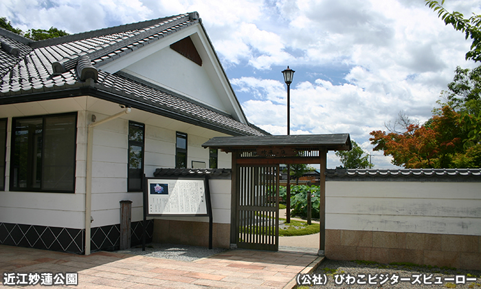 近江妙蓮公園