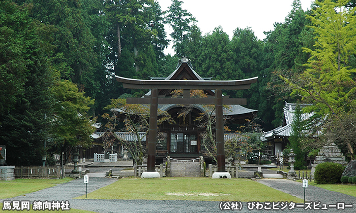 馬見岡綿向神社