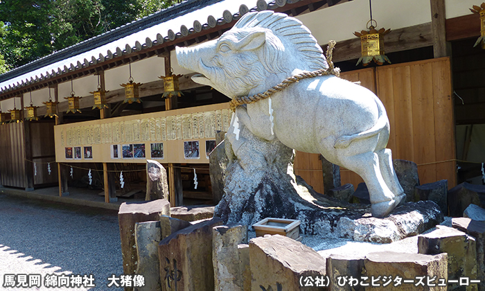 馬見岡綿向神社