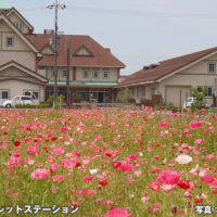 道の駅 あいとうマーガレットステーション