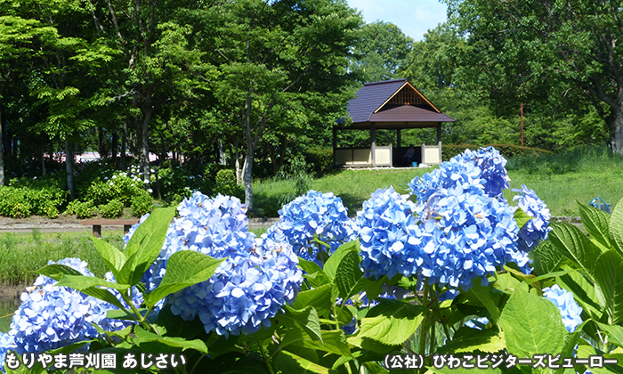 もりやま芦刈園