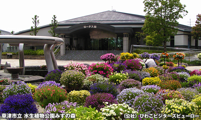 水生植物公園みずの森