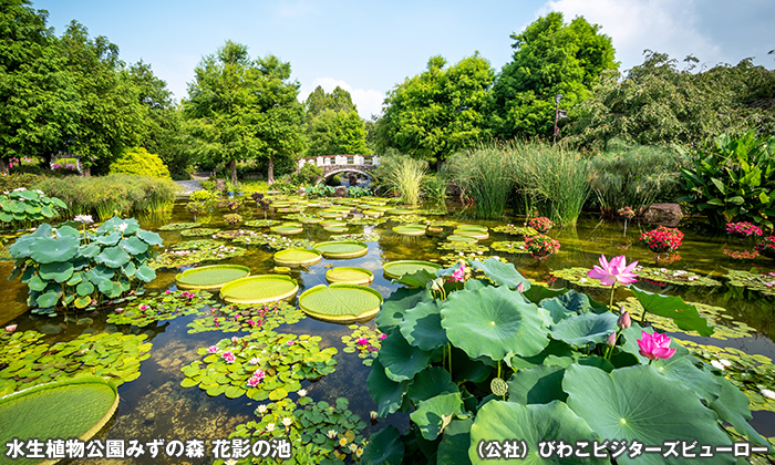 水生植物公園みずの森