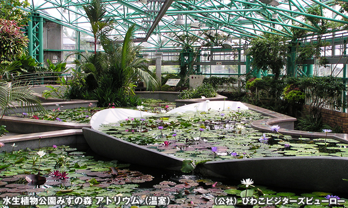 水生植物公園みずの森