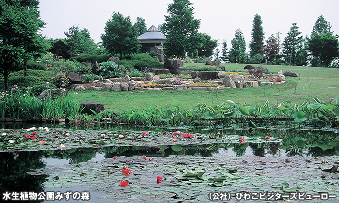 水生植物公園みずの森