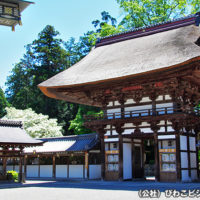 沙沙貴神社