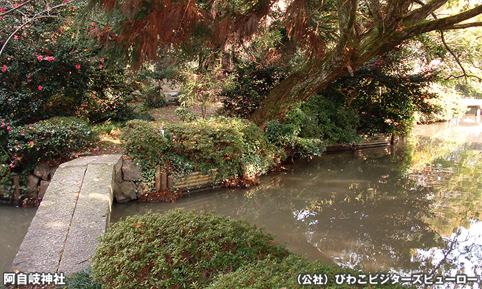 阿自岐神社