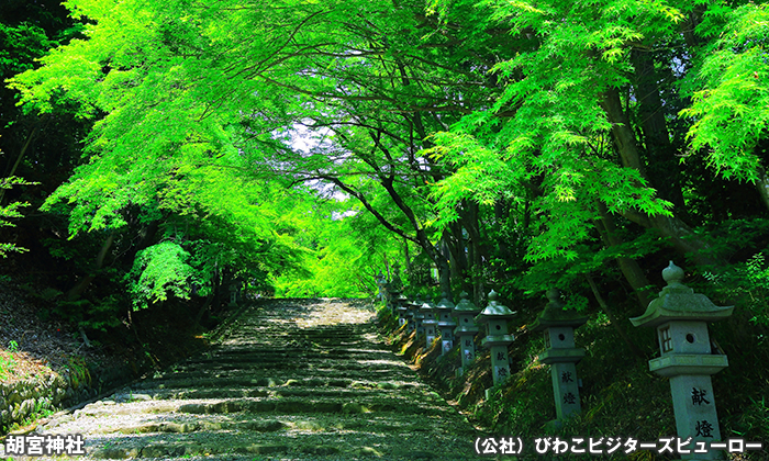 胡宮神社