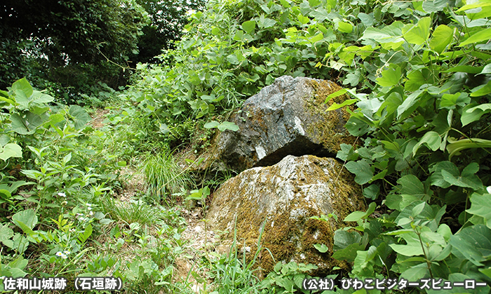 佐和山城跡