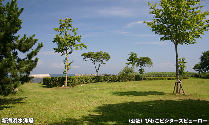 新海浜水泳場