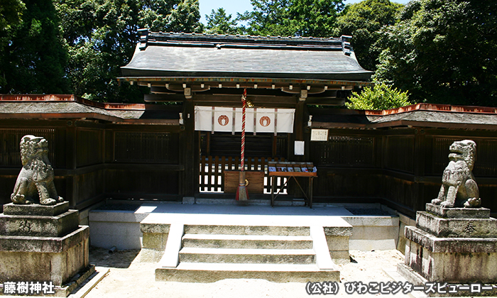藤樹神社