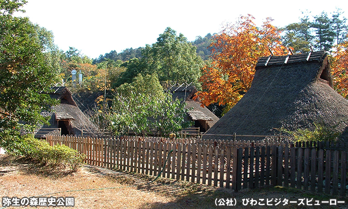 弥生の森歴史公園