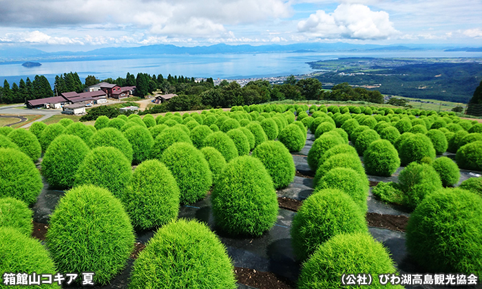 びわこ箱館山