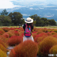 びわこ箱館山