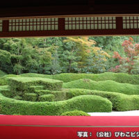 大池寺庭園　蓬莱庭園