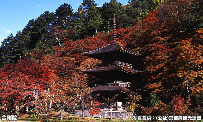 金剛院