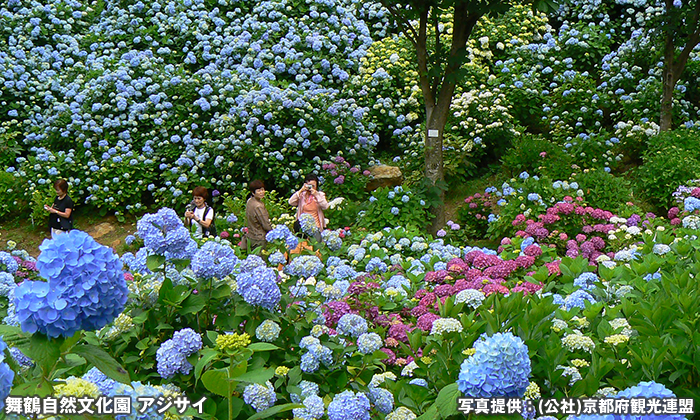 舞鶴自然文化園