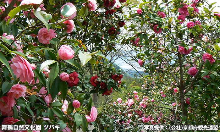 舞鶴自然文化園