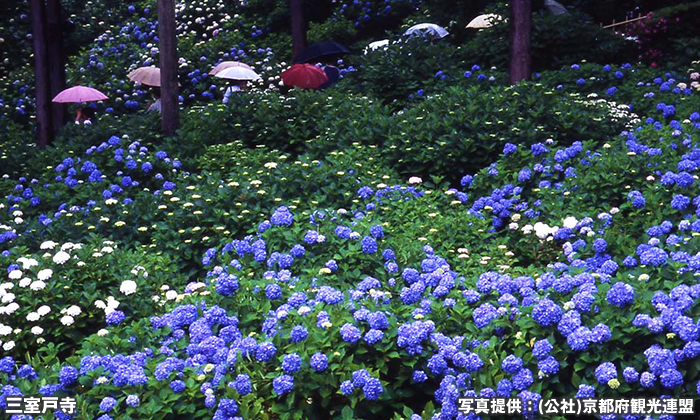 三室戸寺